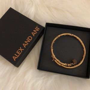 Alex and Ani Anchor bracelet
